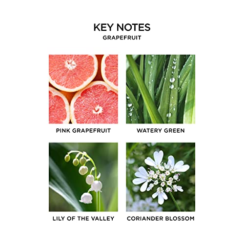 Grapefruit Wall Diffuser Fragrance Refill Vials - 2 Pack