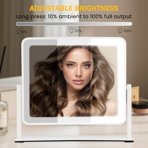 Vanity Mirror with Lights, 14"×12" LED Makeup Mirror, HD Professional