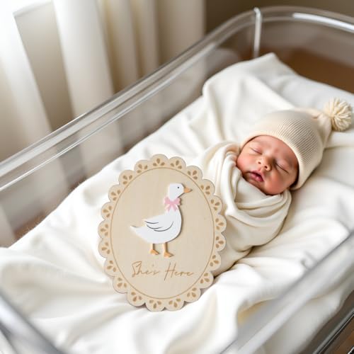 Double-Sided Wooden Baby Announcement Sign - Hello World Photo Prop