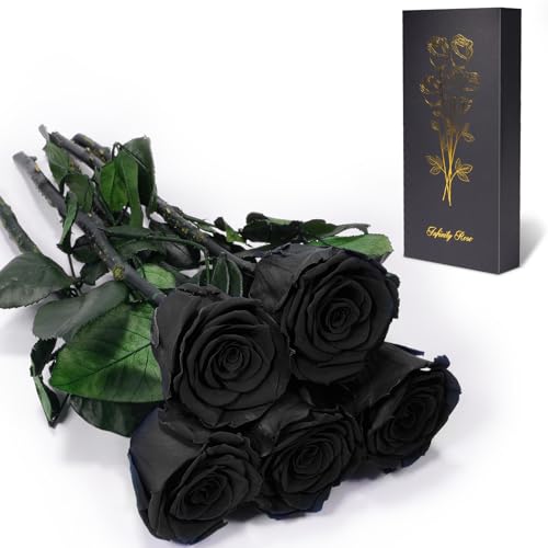 Preserved Rose Gift Set (5 Roses) for Mom Grandma - Eternal Real Rose, 30-32 cm stems