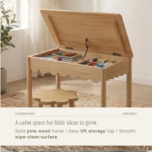 Solid Wood Kids Table and Chair Set with Lift-Top Hidden Storage
