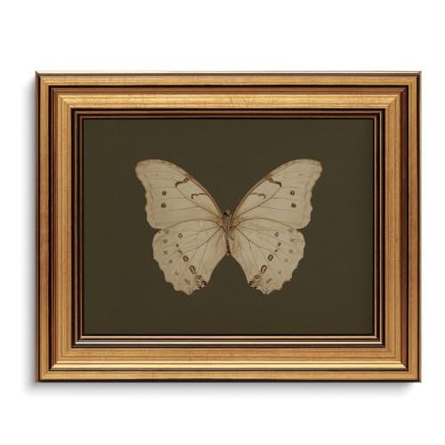 Vintage Butterfly Wall Art Gold Framed Canvas Print 8x10 Inch Moody Insect Artwork for Bedroom
