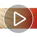 50 Mini Wooden Clothespins and 33ft Leaf Vine Ribbon for Photo Display