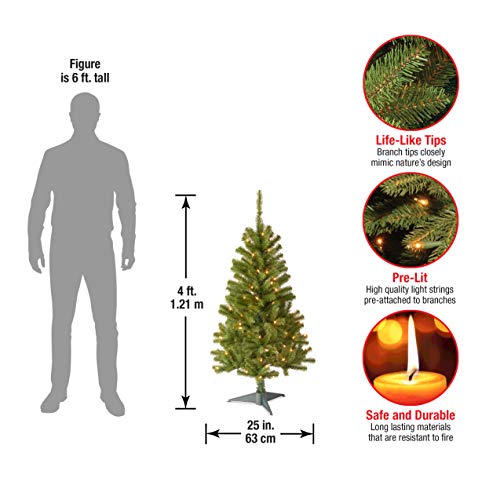 4ft Pre-Lit Canadian Fir Christmas Tree with 100 Clear Lights - Full Bodied, Lifelike Holiday Decor