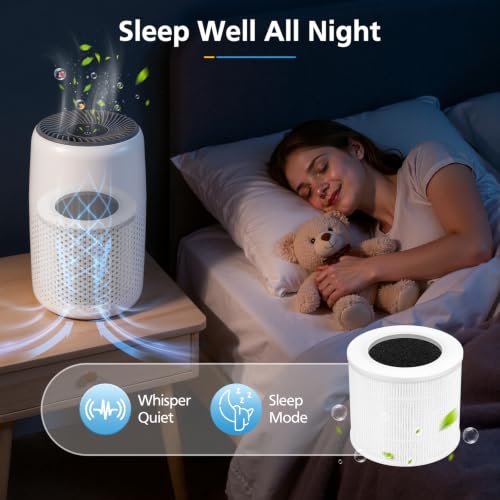 2 Pack Mini Replacement Air Purifier Filters 5.7" x 4.8"