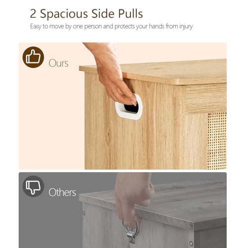 39-inch Storage Chest with Safety Hinges, Toy Box & Entryway Shoe Bench