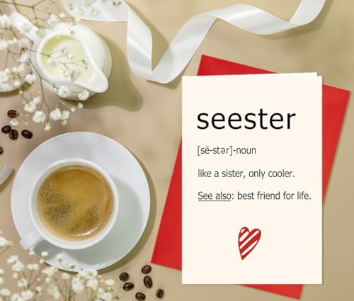 Seester Definition Card for Sister Gifts - Funny Sister Birthday & Christmas Card S2