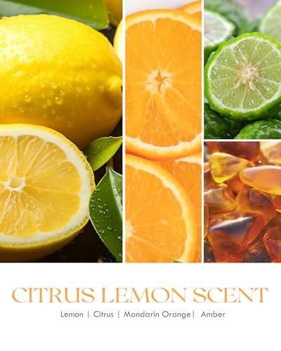 Citrus Lemon Odor Eliminating Soy Candle - 9oz Scented Home Air Freshener