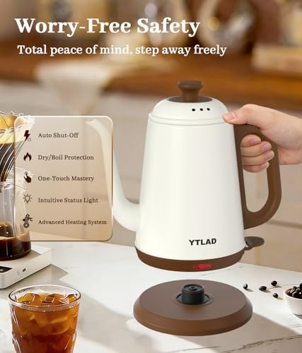 1L Gooseneck Electric Kettle, Stainless Steel Pour-Over Coffee Tea Pot
