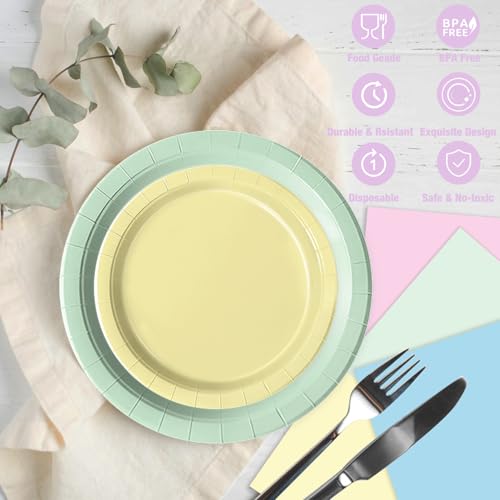 Oigco Pastel Paper Plates and Napkins Set - Rainbow Party Decorations, 60 pcs, Birthday Baby Shower Wedding
