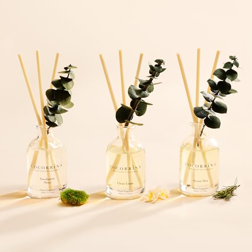 Reed Diffuser Set of 3 with Dried Eucalyptus and Essential Oil Scents