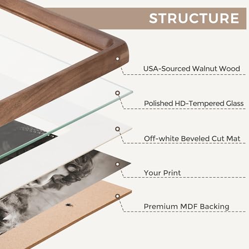 Fun Memories Walnut 8x10 Picture Frame Set of 2 with HD Tempered Glass, Handcrafted Rounded Corners, Wall or Tabletop Display, Variation: Walnut / 8x10 | HD Tempered Glass / 2