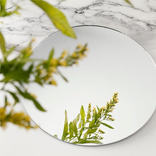 10-Inch Round Acrylic Mirror Trays for Table Centerpieces, 10 Pack
