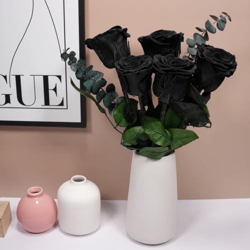 Preserved Rose Gift Set (5 Roses) for Mom Grandma - Eternal Real Rose, 30-32 cm stems