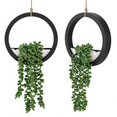 2-Pack Artificial Hanging Succulent Plants in Black Pots, 16-Inch Faux Decor