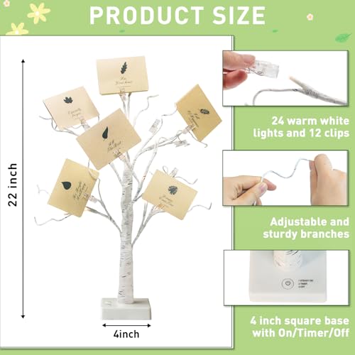 Lighted Birch Money Tree Gift Holder with Clips & Cards - 2FT