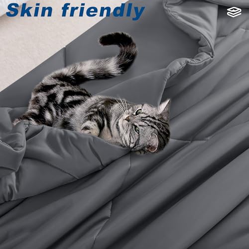 Bedsmile Cooling Comforter Queen Size - Reversible Cold Tech Ice Blanket