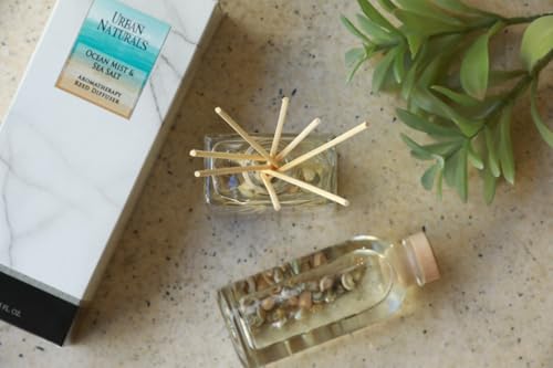 Ocean Mist & Sea Salt Reed Diffuser Set with Essential Oils and Seashells