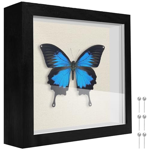 5x5 Shadow Box Frame with Linen Backing - Black Display Case for Keepsakes
