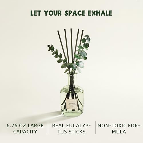 Wild Mint & Eucalyptus Reed Diffuser Set with Dried Leaves (6.76 oz)