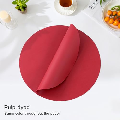SHACOS 100 Pack 13 Inch Dark Red Disposable Round Placemats for Events - 2 Pack