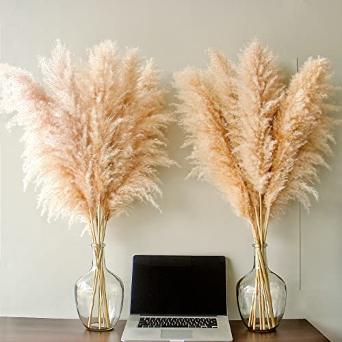 46-Inch Natural Dried Pampas Grass Decor - 10 Stems Fluffy Boho Bouquet