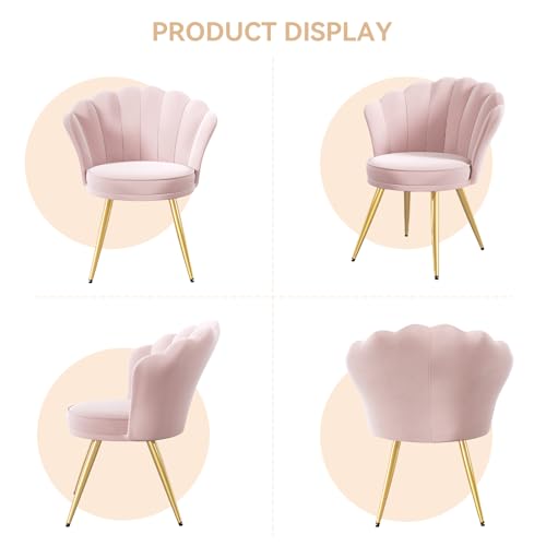 Velvet Accent Chair with Gold Metal Legs, Shell-Shaped Vanity Chair
