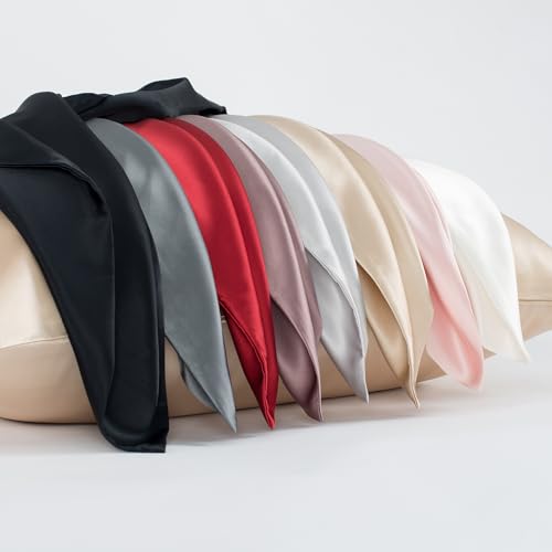 CloudDwelling 100% Mulberry Silk Pillowcase 22 Momme 6A Red 20x26 with Hidden Zipper