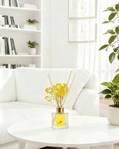 Lemon Verbena Reed Diffuser Set - 100ml Fragrance Oil with 6 Reed Sticks