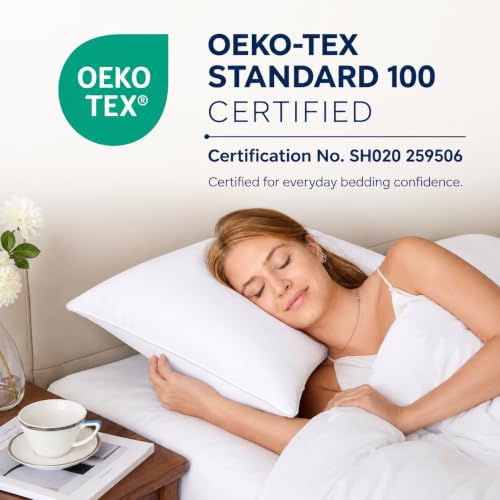 CozyLux Queen Bed Pillows Set of 2 - Soft Down Alternative Sleeping Pillows