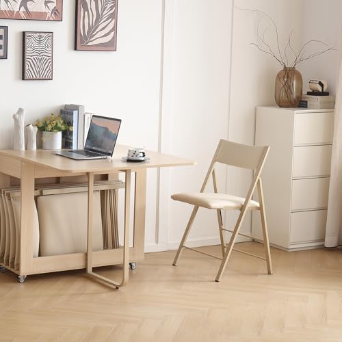Heavy Duty Padded Folding Chairs - 450lb Capacity Steel Frame, 2 Pack