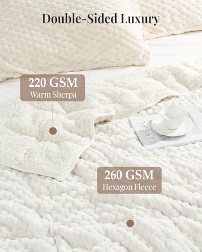 15lbs Weighted Blanket for Adults - Queen Size 60x80, Soft Sherpa Fleece