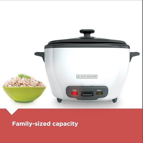 6-Cup Electric Rice Cooker with Steaming Basket & Keep Warm Feature