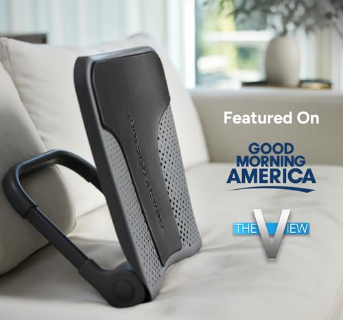 Portable Ergonomic Back Rocker & Lumbar Support for Chairs - Slate
