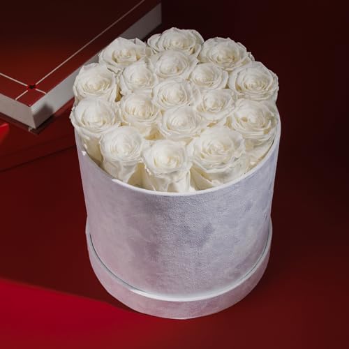17 Preserved Real Roses in Luxury Velvet Gift Box - Eternal Flowers