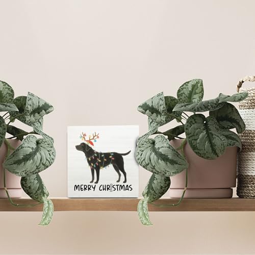 Black Labrador Retriever Merry Christmas Wooden Box Sign Desk Decor, Black Lab Gifts, Christmas Lab Dog Wood Block Sign for Home Office Desk Table Shelf Wall Decorations, 5x5 Inch