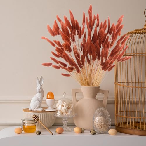 120pcs Burnt Orange Dried Bunny Tails 17-Inch Pampas Grass Boho Decor