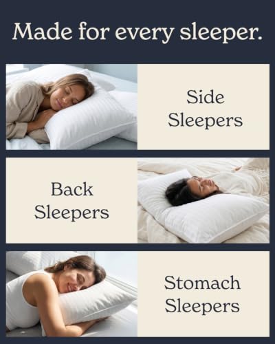 Beckham Hotel Collection Queen Bed Pillows Set of 2 - Down Alternative