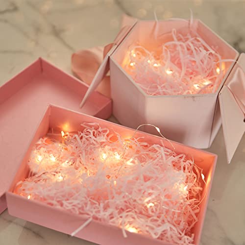 6 Pack Warm White Fairy Lights, 3.3ft Each - 10 LEDs, High Brightness (Etinga)