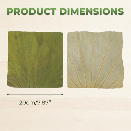 100 Pcs Dried Lotus Leaves for Cooking and Food Wrapping 8x8 Inch