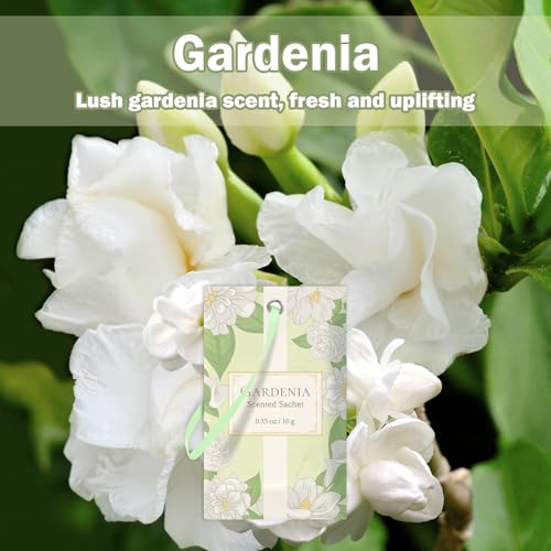 Gardenia Scented Sachets for Closet and Drawers - 14 Pack Hanging Air Freshener