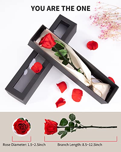 Preserved Long Stem Real Rose - Forever Flower Gift for Her