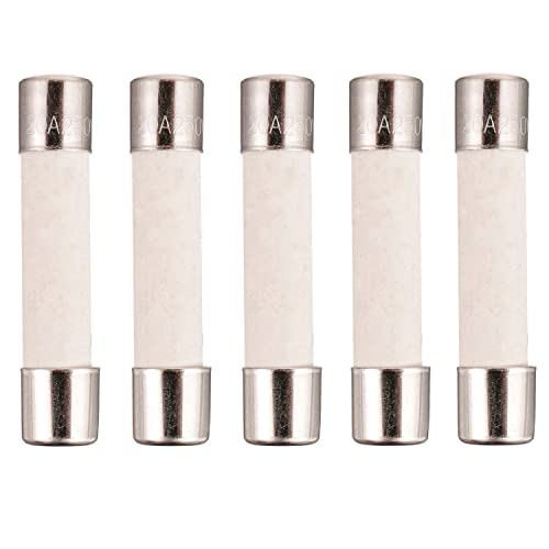 20A 250V Slow-Blow Microwave Ceramic Fuse 6x30mm - 5 Pack