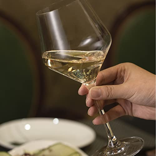 Coccot Crystal Wine Glasses Set of 6, 16oz, Lead-Free Hand Blown Italian Style Burgundy Stemware