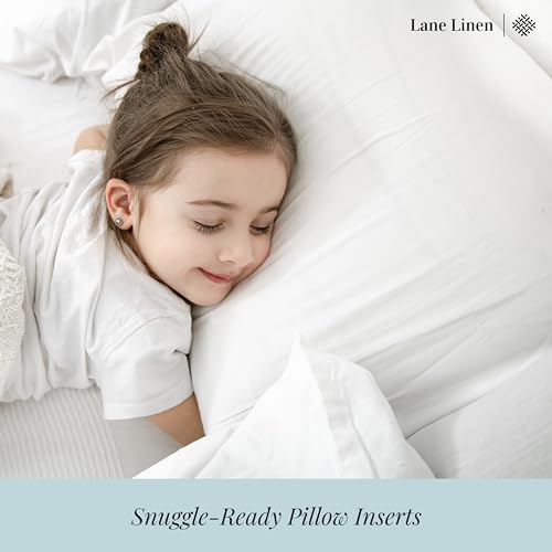 LANE LINEN 12x20 Throw Pillow Inserts Pack of 2 - Soft Lumbar Cushions