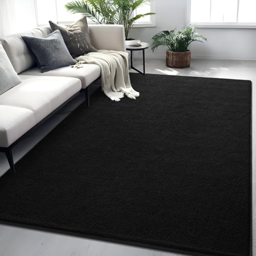 4x6 Black Area Rug, Washable Memory Foam Minimalist Indoor Carpet
