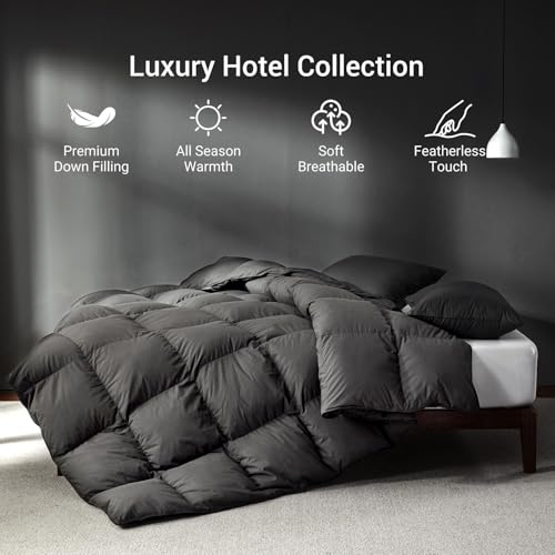 All Season Goose Feather Down Comforter - Queen Duvet Insert, Dark Grey