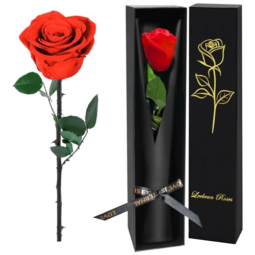Single Preserved Red Rose in Luxury Gift Box - Real Forever Rose