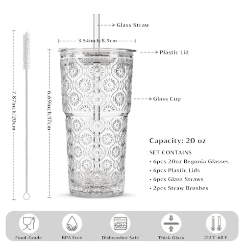 20 oz Begonia Flower Glass Tumbler Set with Lids and Straws - 6 Pack
