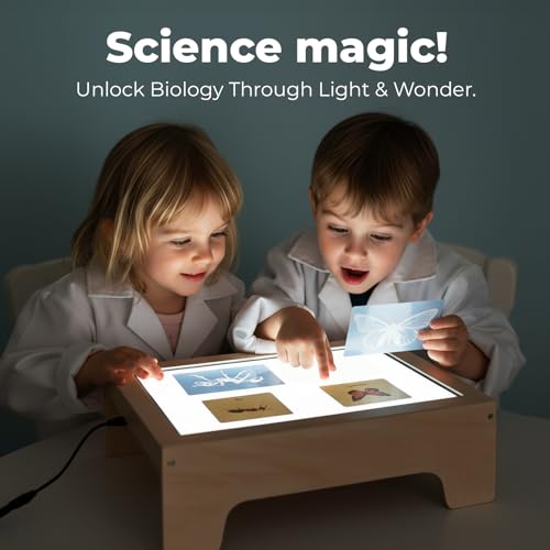 Wooden Kids Light Table with Sand Box, Tracing Light Box & Art Tools